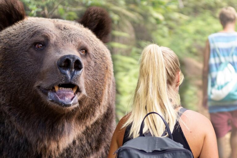 Learn the Life-Saving Tips to Survive a Bear Attack – Don’t Miss Out!